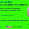 Horse manure